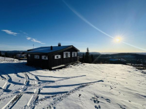 Cozy cabin with breathtaking views on Golsfjellet